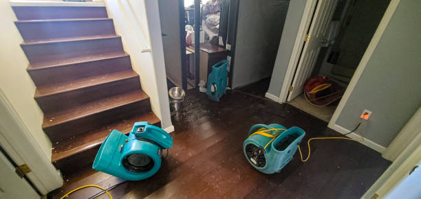 Best Water damage restoration near me  in Bloomer, WI