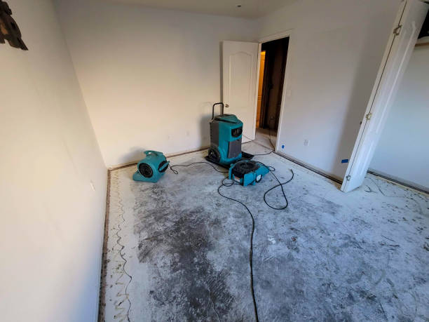 Best 24/7 water damage repair  in Bloomer, WI