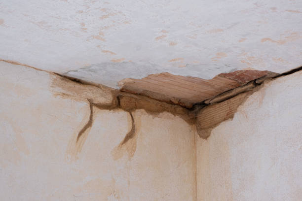 Best Flooded house restoration  in Bloomer, WI