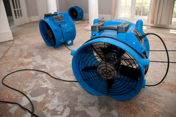 Best Water damage restoration specialists  in Bloomer, WI