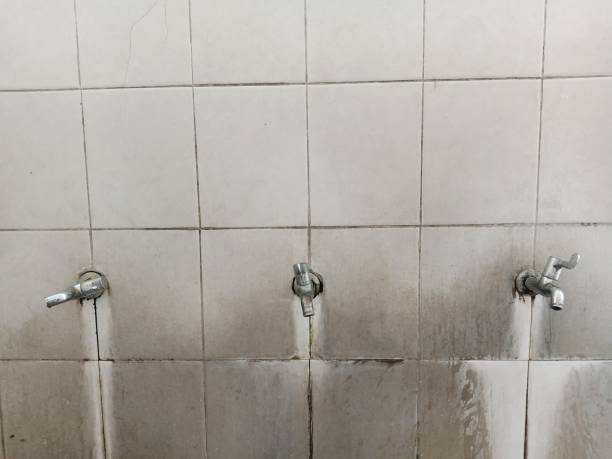 Best Water damage restoration near me  in Bloomer, WI