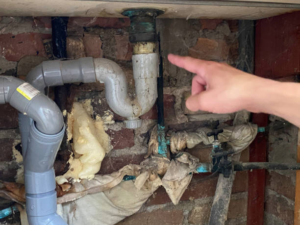 Best Water damage contractors near me  in Bloomer, WI