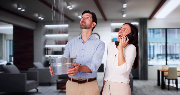 Best Water damage cleanup near me  in Bloomer, WI